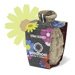 seedbom 
'Urban Bloomer', 
mix voor de stad